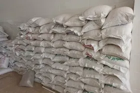 آیا خبر کمبود برنج صحت دارد؟ (۲۱ مرداد ۱۴۰۴)