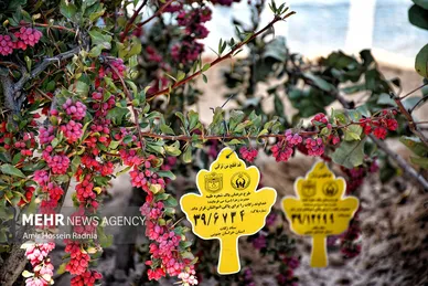 روزهای سرخ خراسان جنوبی