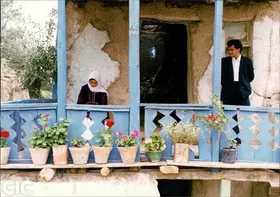 &laquo;زیر درختان زیتون&raquo; جزو ۴۴ فیلم برتر تاریخ جشنواره فیلم کن از نگاه نشریه نیویورکر