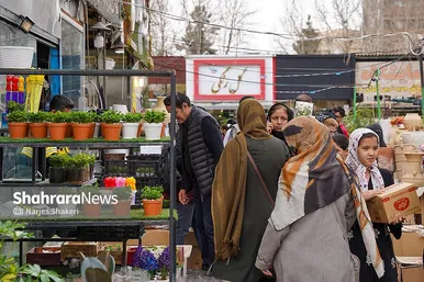 گزارش تصویری | حال‌وهوای بازار گل و گیاه مشهد در آستانه نوروز ۱۴۰۵