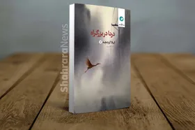 &laquo;درنا در بزرگراه&raquo; منتشر شد | تازه&zwnj;ترین مجموعه شعر لیلا کردبچه