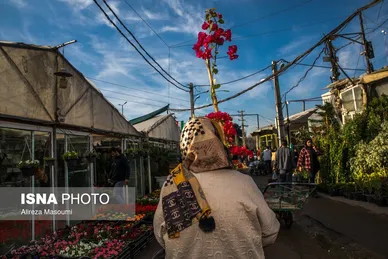 بازار گل محلاتی تهران در آستانه سال نو