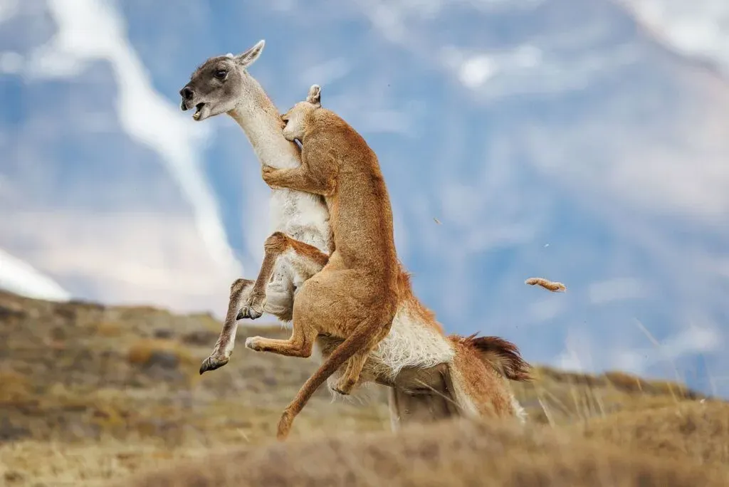 مسابقه عکاسی