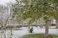 ویدئو| اولین برف پاییزی اردبیل