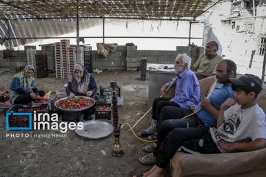 گزارش تصویری | بهارِ سرخ شفیع‌آباد