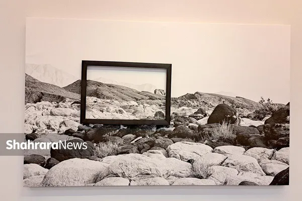 درنگی بر نمایشگاه «عکاسی، مرگ ماهی و چند مسئله دیگر»