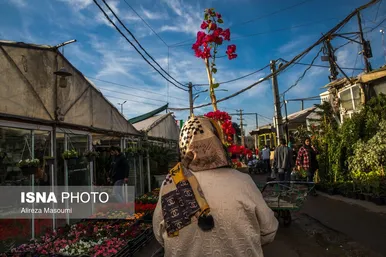 بازار گل محلاتی تهران در آستانه سال نو