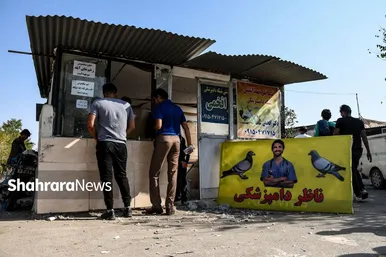 عکس‌هایی از جمعه‌بازار پرنده‌فروشان در شمال شرق مشهد