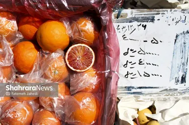 گزارش تصویری |  میدان تره‌بار سپاد در تب‌ و تاب نوروز