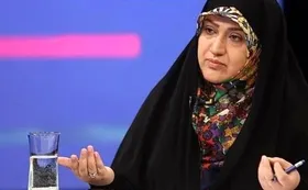 افشاگری نماینده مجلس: هزینه&zwnj;کرد عوارض آلایندگی در محل دیگر