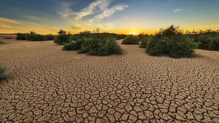 وارد چرخه‌ای به نام تغییر آب‌و‌هوا شدیم/ سال گذشته کشاورزان استان ۴۰۱ میلیون مترمکعب کمتر آب برداشت کردند