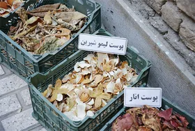 خشکاله، پویشی در بحران خشک&zwnj;سالی