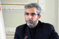 باقری: تلاش‌های امیرعبداللهیان برای تحقق اهداف سیاست خارجی ماندگار است