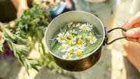 درمان‌های طبیعی و خانگی که به کاهش معده درد کمک می‌کند
