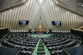 مجلس بررسی طرح تأسیس سازمان ملی مهاجرت را آغاز کرد