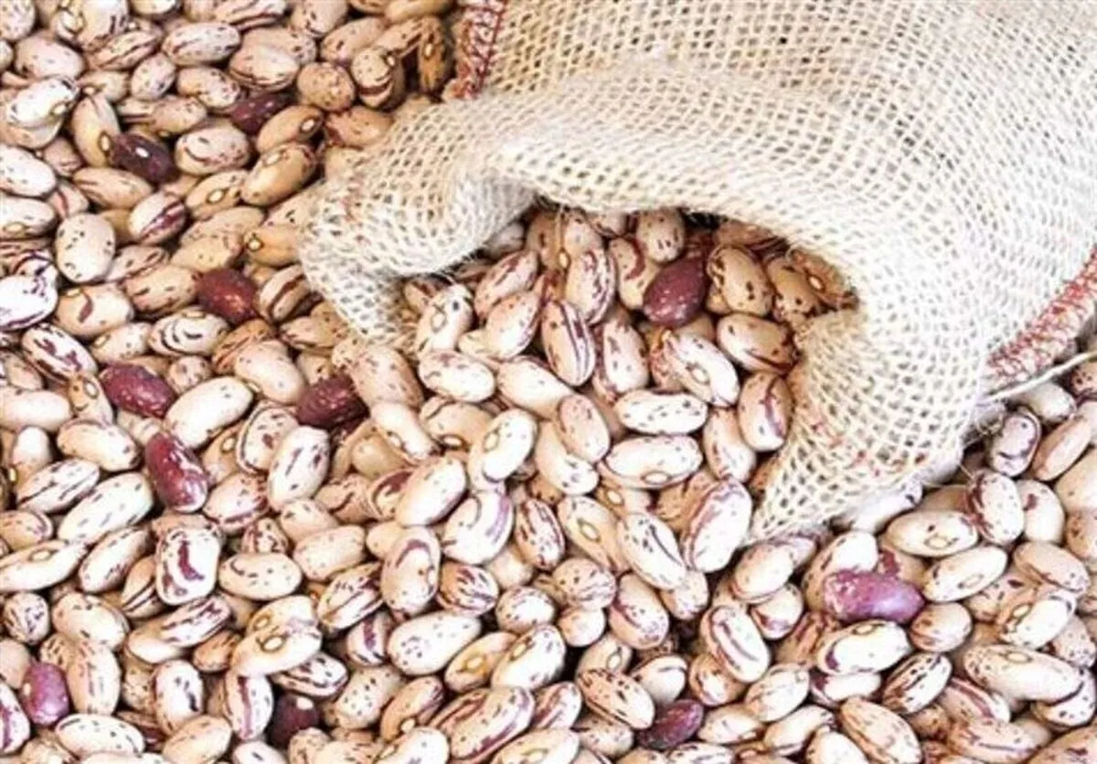 قیمت لوبیا چیتی به‌شدت ارزان شد (۲ مهر ۱۴۰۴)