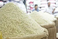 صدور مجوز واردات ۱۲۰ هزار تن برنج برای تنظیم بازار در خراسان رضوی