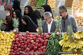 رئیس اتحادیه خرده&zwnj;فروشان میوه و تره&zwnj;بار: قیمت میوه در بازار ثبات دارد | سبزی بسته&zwnj;ای هزار تومان گران شد