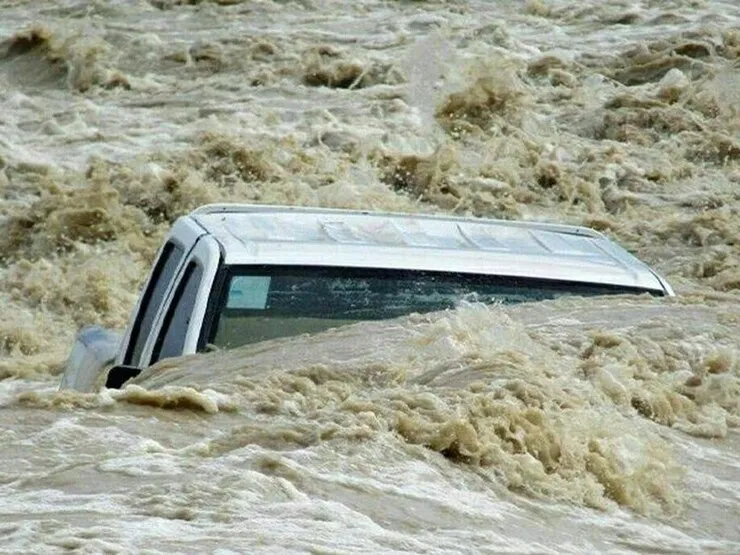 ویدئو | نخل‌ها در سیل سیستان و بلوچستان غرق شدند!