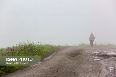 ایران زیباست | بره سر
