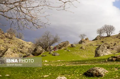 ایران زیباست | مخمل کوه در گستره زاگرس - لرستان