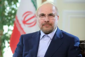 رئیس مجلس: به جمع&zwnj;بندی خوبی برای ساماندهی بازار ارز رسیدیم