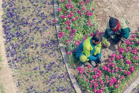 نگاهی به فرهنگ کسب درآمد از منظر قرآن کریم