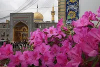 تشریح ویژه برنامه‌های حرم مطهر رضوی برای میلاد امام حسن عسکری(ع)