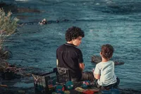 فیلم سینمایی «در آغوش درخت» از نگاه جنیفر گرین، منتقد آمریکایی