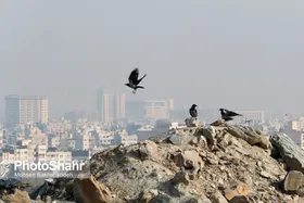 هوای کلانشهر مشهد امروز در وضعیت هشدار قرار گرفت (۲۸ اسفند ۱۴۰۲)