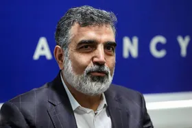 سخنگوی سازمان انرژی اتمی: همکاری لازم بین ایران و آژانس وجود دارد| تکذیب ادعای فعالیت اعلام نشده در ایران