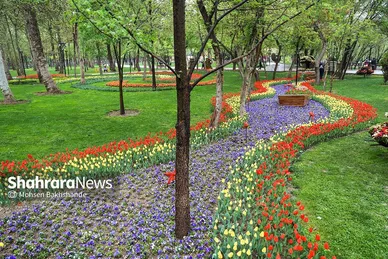 گزارش تصویری | جشنواره گل‌های لاله در مشهد