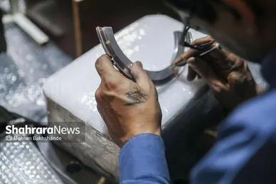 بازدید معاون علمی و فناوری رئیس‌جمهور از پارک علم و فناوری استان