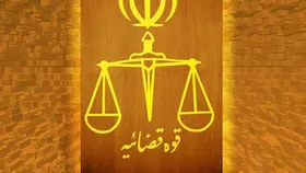 قوه قضائیه به دنبال برخورد با ذی&zwnj;نفعان پشت پرده تخلفات حوزه ارزی