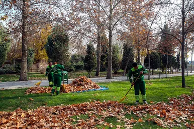 طبیعت پاییزی در مشهد