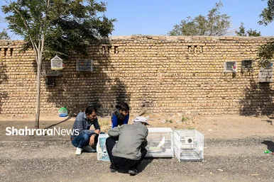 عکس‌هایی از جمعه‌بازار پرنده‌فروشان در شمال شرق مشهد