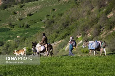 ایران زیباست | ارتفاعات برفچال؛ شهرستان مینودشت