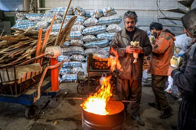 خسارت شدید سرما به بازار میوه و تره بار مشهد