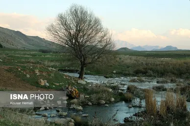 ایران زیباست | طبیعت بهاری تالاب «هشیلان» - کرمانشاه