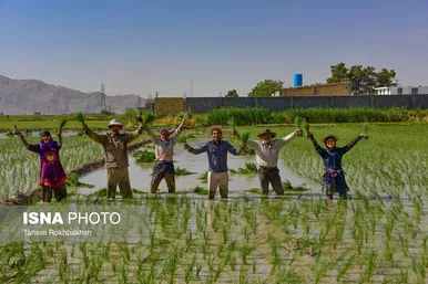 به مناسبت روز جهانی کار و کارگر