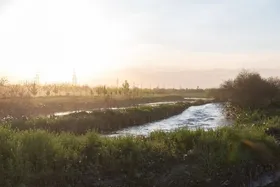 ۴۰ هکتار دیگر از حاشیه کشف&zwnj;رود در ۱۰ روز آینده درخت&zwnj;کاری می&zwnj;شود