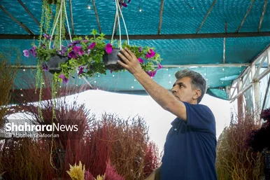 حال و هوای بازار گل مشهد در آستانه عید