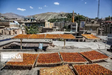 پشت بام های طلایی خَروْ
