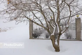 کاهش دما از روز جمعه در خراسان رضوی | تداوم آلودگی هوا در مشهد (٢۷ دی&zwnj;ماه ١۴٠١)