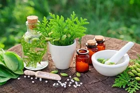 درمان گیاهی برای میخچه پا