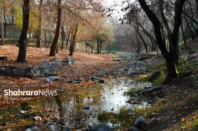 عکس‌هایی از طبیعت پاییزی بوستان وکیل آباد مشهد