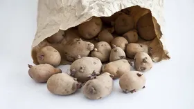 کدام سیب زمینی&zwnj;ها سمی هستند؟