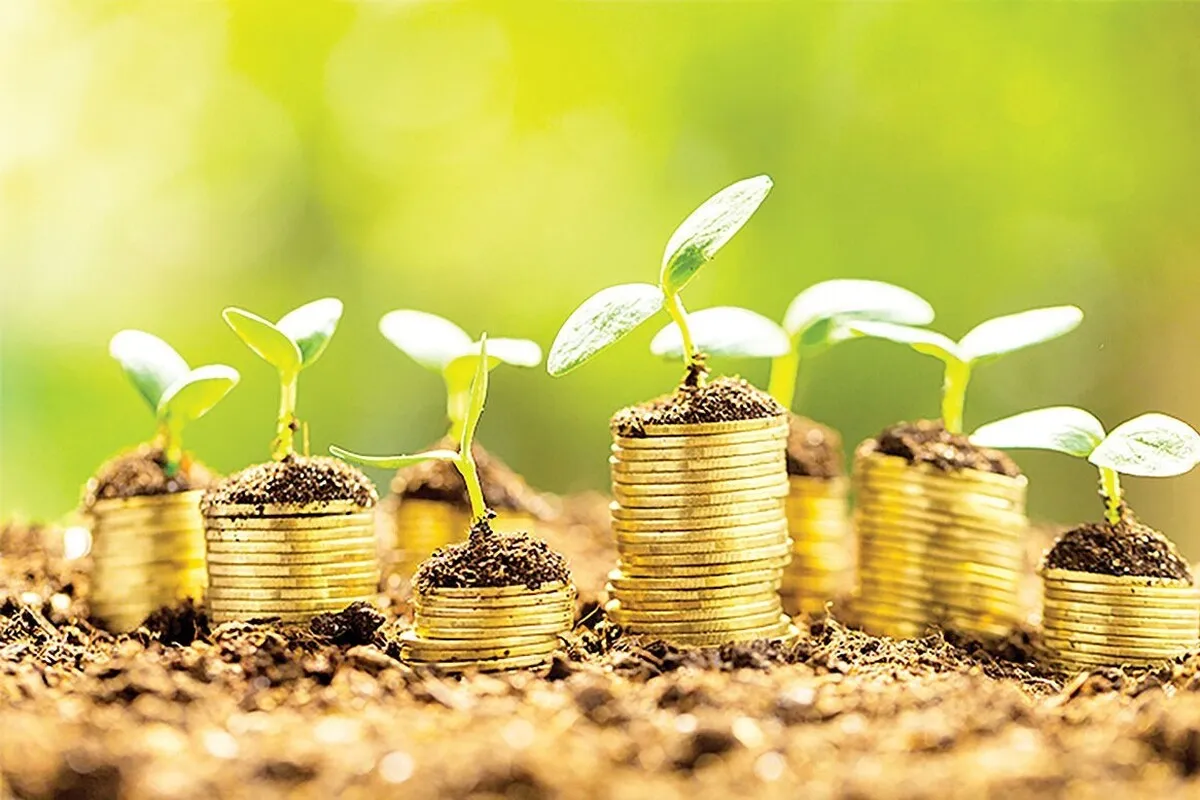 اختصاص بیش از ۳۳۵ میلیارد تومان مالیات سبز، برای آبادانی و صیانت از محیط زیست خراسان رضوی