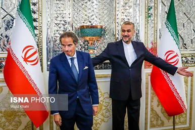 دیدار مدیرکل آژانس بین‌المللی انرژی اتمی با وزیر خارجه