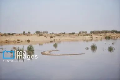 گزارش تصویری | ورود آب به سیستان پس از سال‌ها خشکسالی